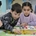 PERDIDOS EN LA JUNGLA. Juego de mesa de aventura matemática para todas las edades - Imagen 1